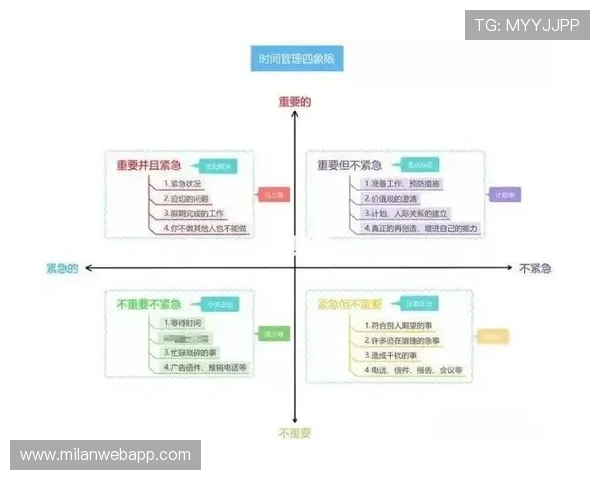 如何选择适合企业的米兰软件版本以提升工作效率