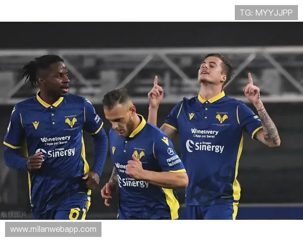 米兰app登录入口常见问题及解决方案详解