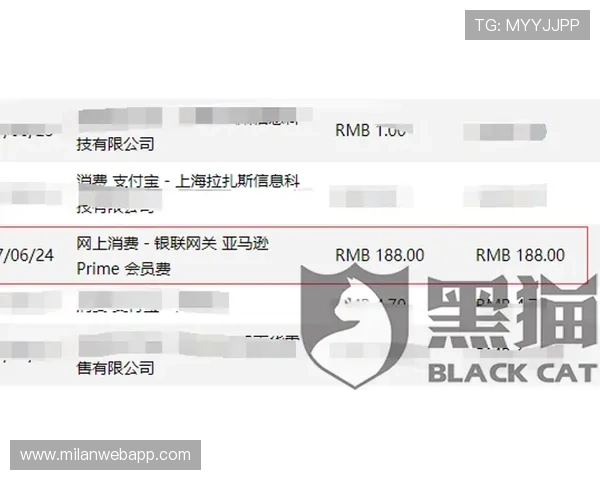 AC米兰会员卡的价格、优惠政策及续费方式全方位介绍助你合理规划会员预算