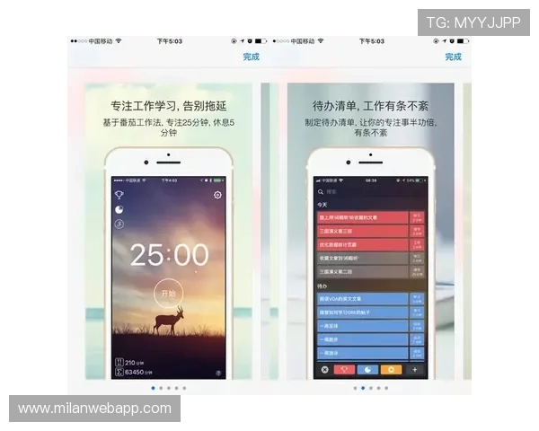米兰官网手机版会员登录遇到问题时的详细解决方案与操作建议